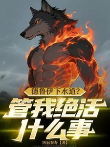 联盟 德鲁伊