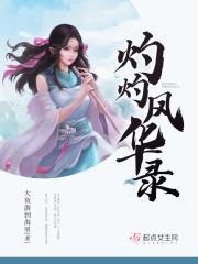灼灼年华