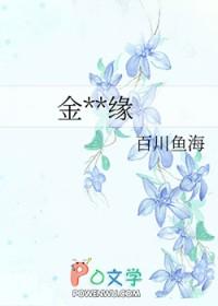 金喻良缘讲什么