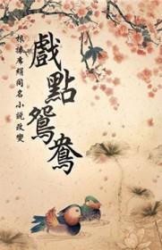 电视剧戏点鸳鸯