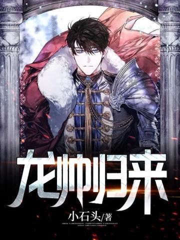 龙帅归来苏护