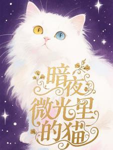 暗夜里的微光作文