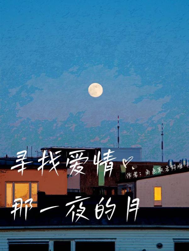 寻找爱情的你