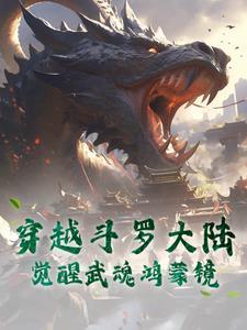 穿越斗罗大陆觉醒三武魂