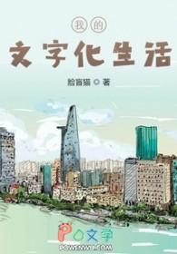 我的文化生活作文800字