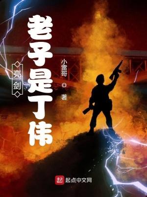 亮剑老子打的就是精锐表情包
