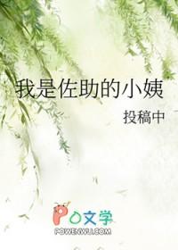 我是佐助免费阅读