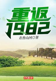 重返1982年我养了九个女儿免费阅读全