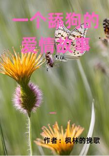 关于舔狗的爱情说说