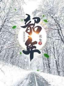 韶年抚新月