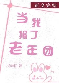 当我报了老年团全文免费阅读
