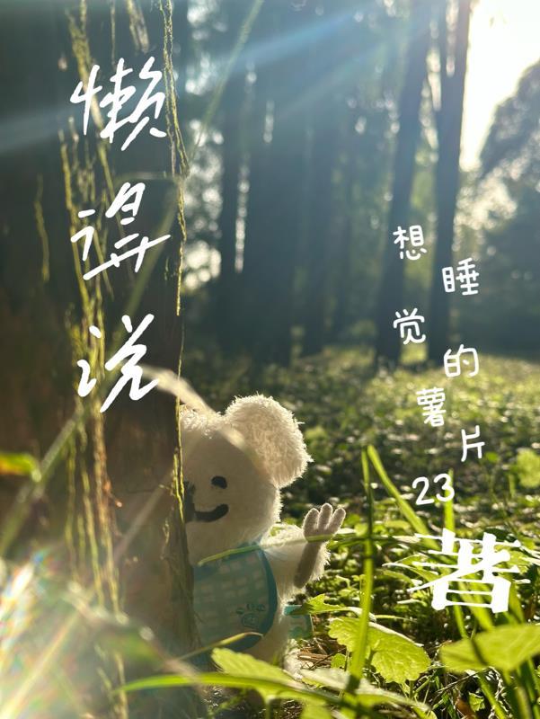 懒得说是什么意思
