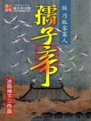 孺子帝杨奉结局