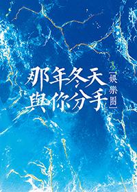 那年冬日