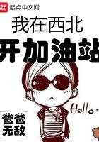 我在西北开加油站 爸爸无敌