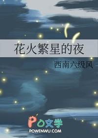 花火繁星的夜番外