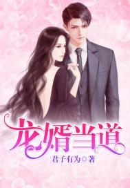 龙婿当道龙隐免费阅读