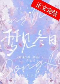 梦见冬日免费阅读