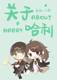 hp关于哈利甜文