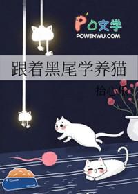 排球少年灰黑