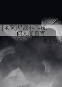 星辰非昨夜山河共从容下一句