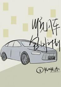 顺风车可以包月吗