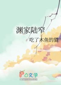 男主人公陆晋渊的