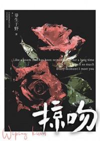 掠吻绛唇晋江