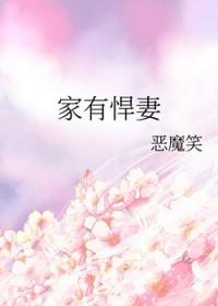 家有悍妻小视频全集