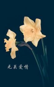 无关爱情的流行歌曲