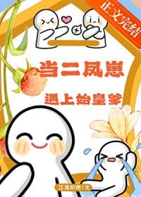 二凤讲的是什么