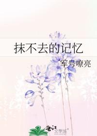 抹不去的回忆原唱完整版