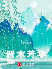 晋末芳华无错