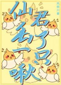 仙君你鸟没了全文免费阅读