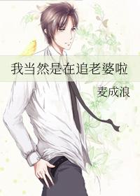 都说公司没了我会倒闭作者麦成浪