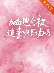 beta也会被追妻火葬场吗番外