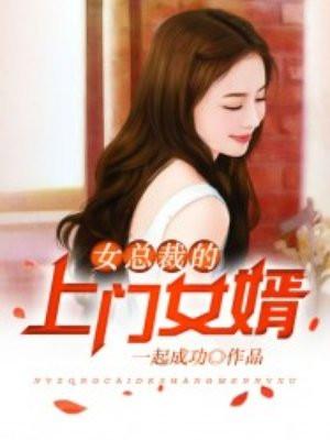 女总裁的上门 女婿