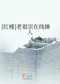 红楼之老祖宗驾到19楼