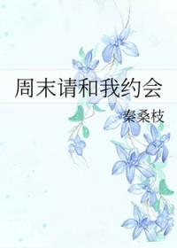 周末请和我约会免费阅读