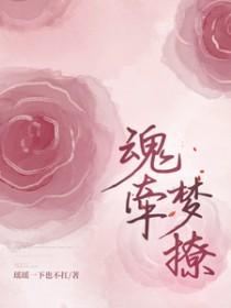 魂牵梦撩慕颜免费阅读