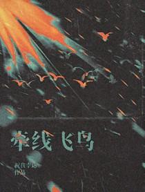 牵线飞鸟讲的什么