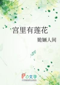 莲花宫图片大全