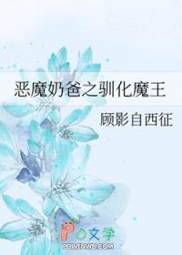 宠物小精灵之治愈系