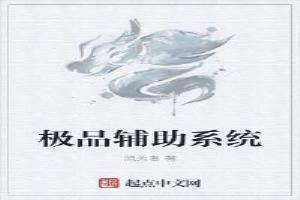 极品辅助盒子手机版