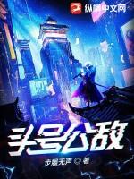 头号公敌2在线观看