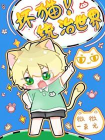 坏猫猫搜