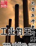 工业为王起点