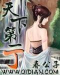天下第一丁简介