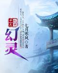 幻灵将世录