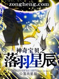 神奇宝贝之落羽星辰为什么不写了